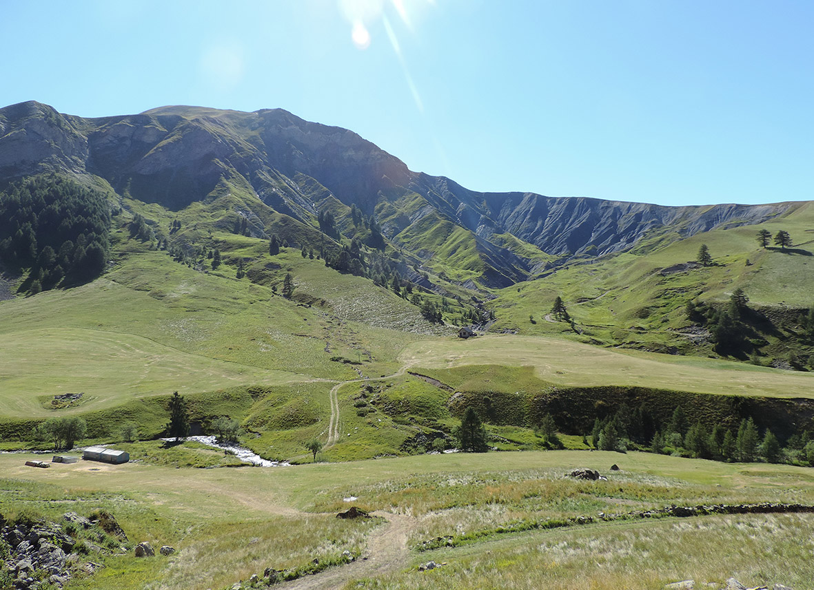 Paysage des Vosges 